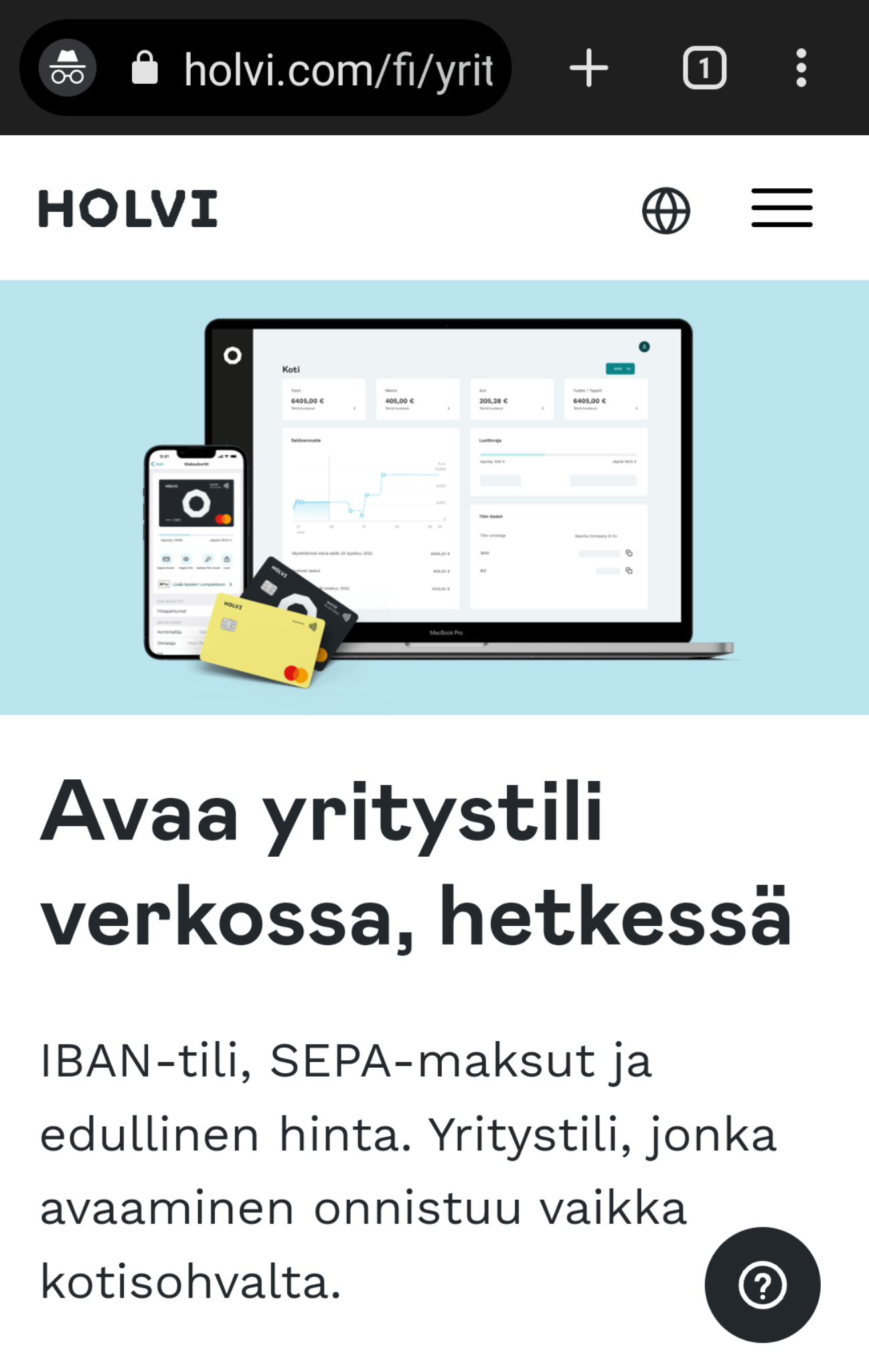 Ep&auml;eettinen mainonta &agrave; la Holvi