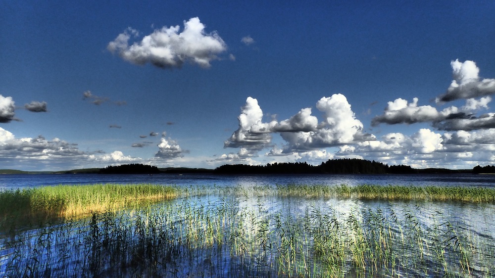 Purnu, L&auml;ngelm&auml;veden rannalla Orivedell&auml;. 